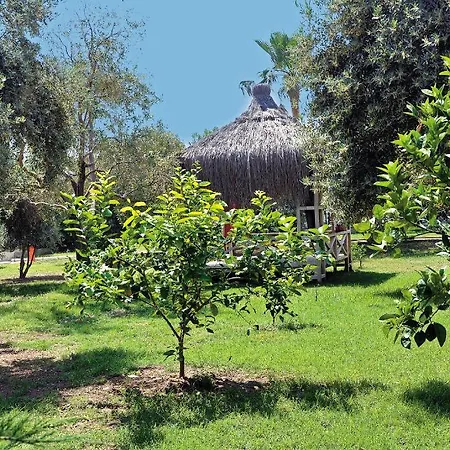 Hotel Mc Mahberi
